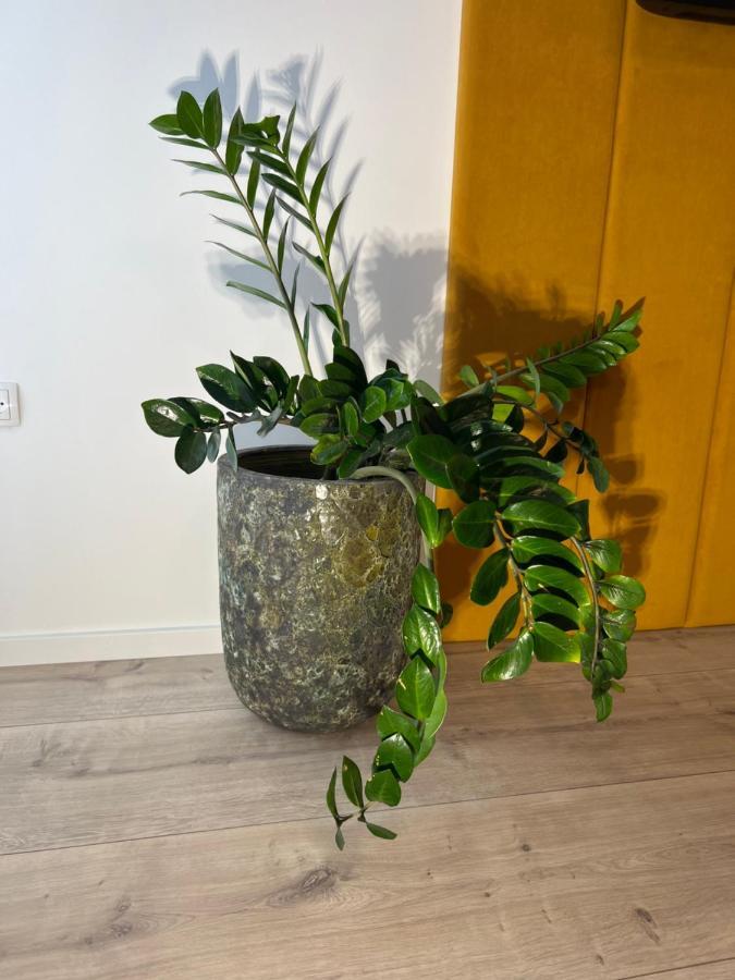 Sofia Apartment & Zimmer Sillweg Naehe Rebull Ring Fohnsdorf Exteriör bild